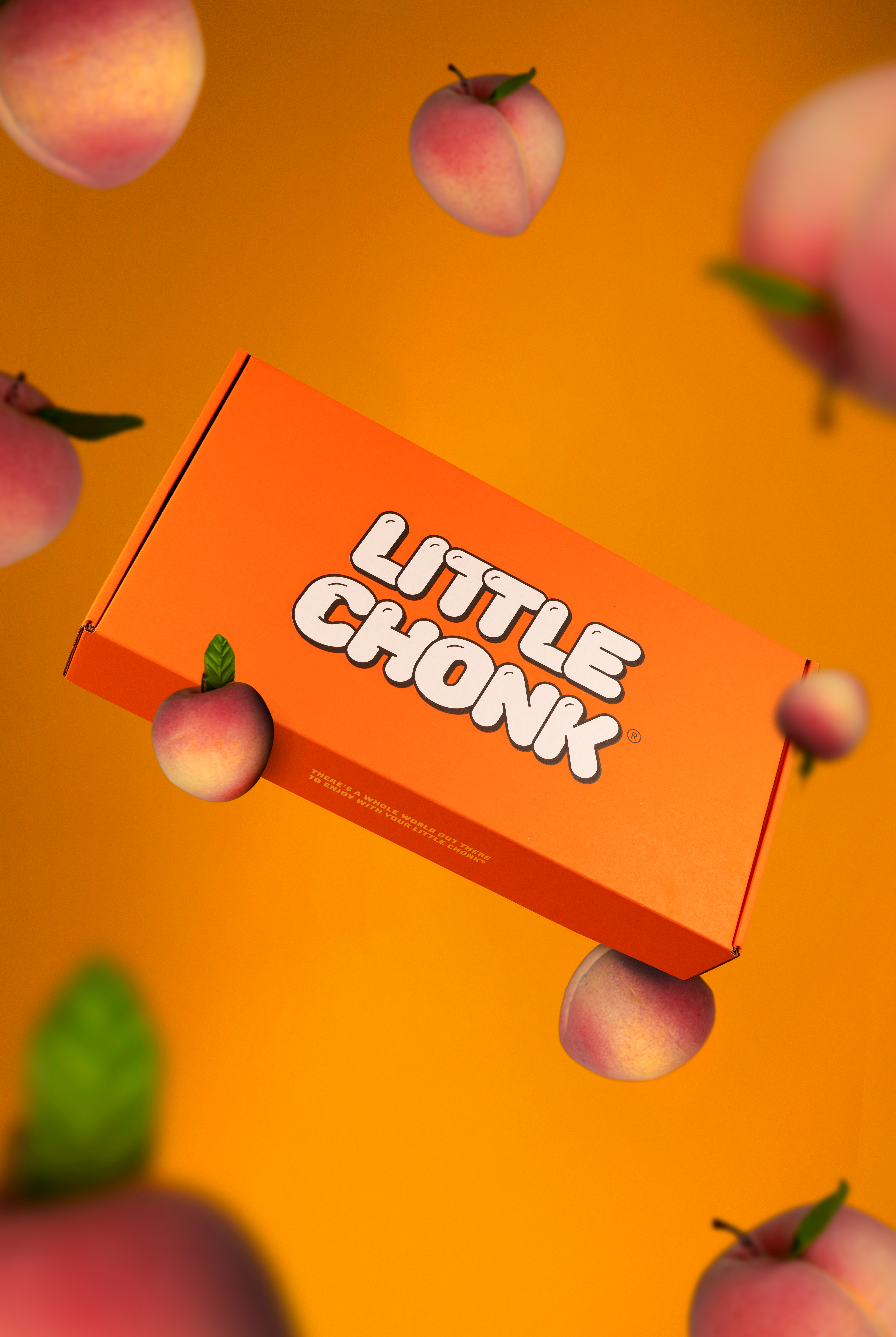 Little Chonk's unique packaging