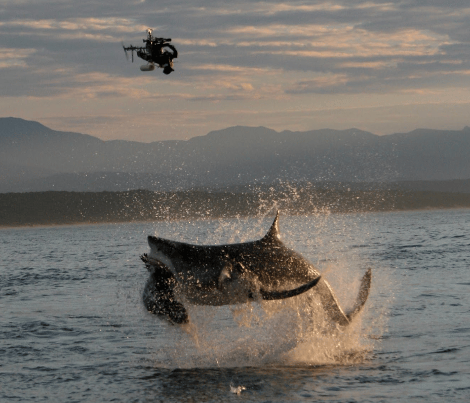 2010: Filming Great White Sharks in South Africa (with a heli!) for National Geographic